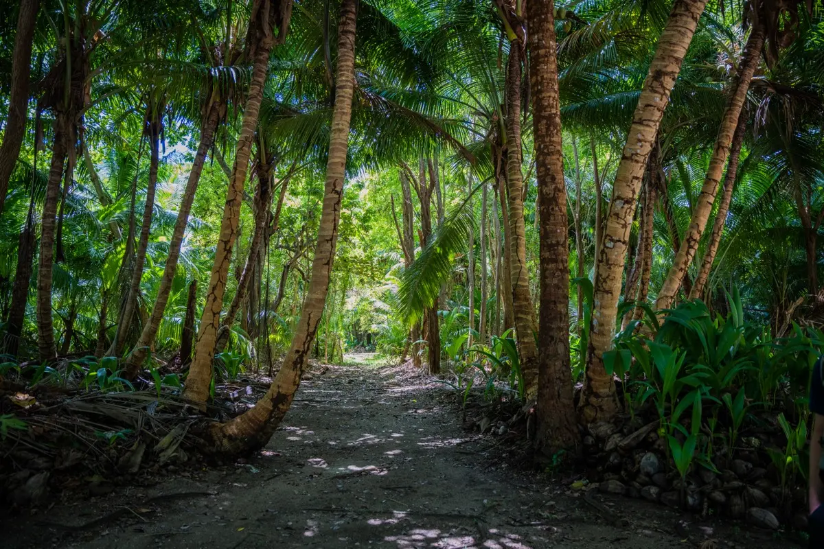 Seychelles gallery
