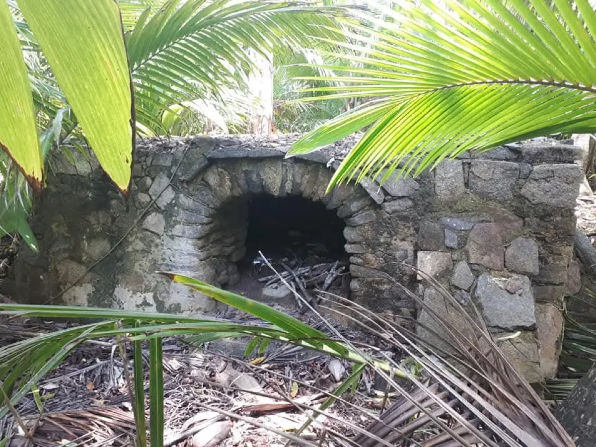 Anse Capucin Trail photo 5