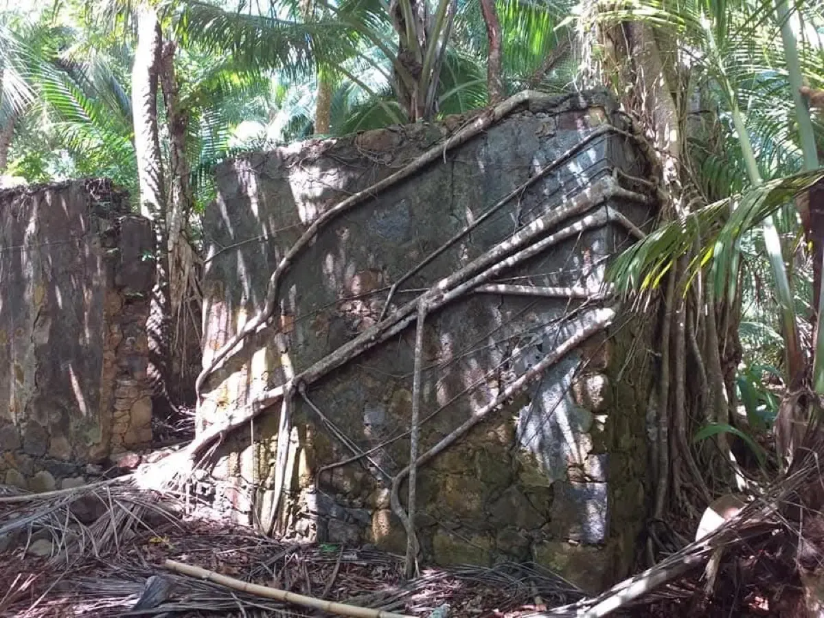 Anse Capucin Trail photo 6