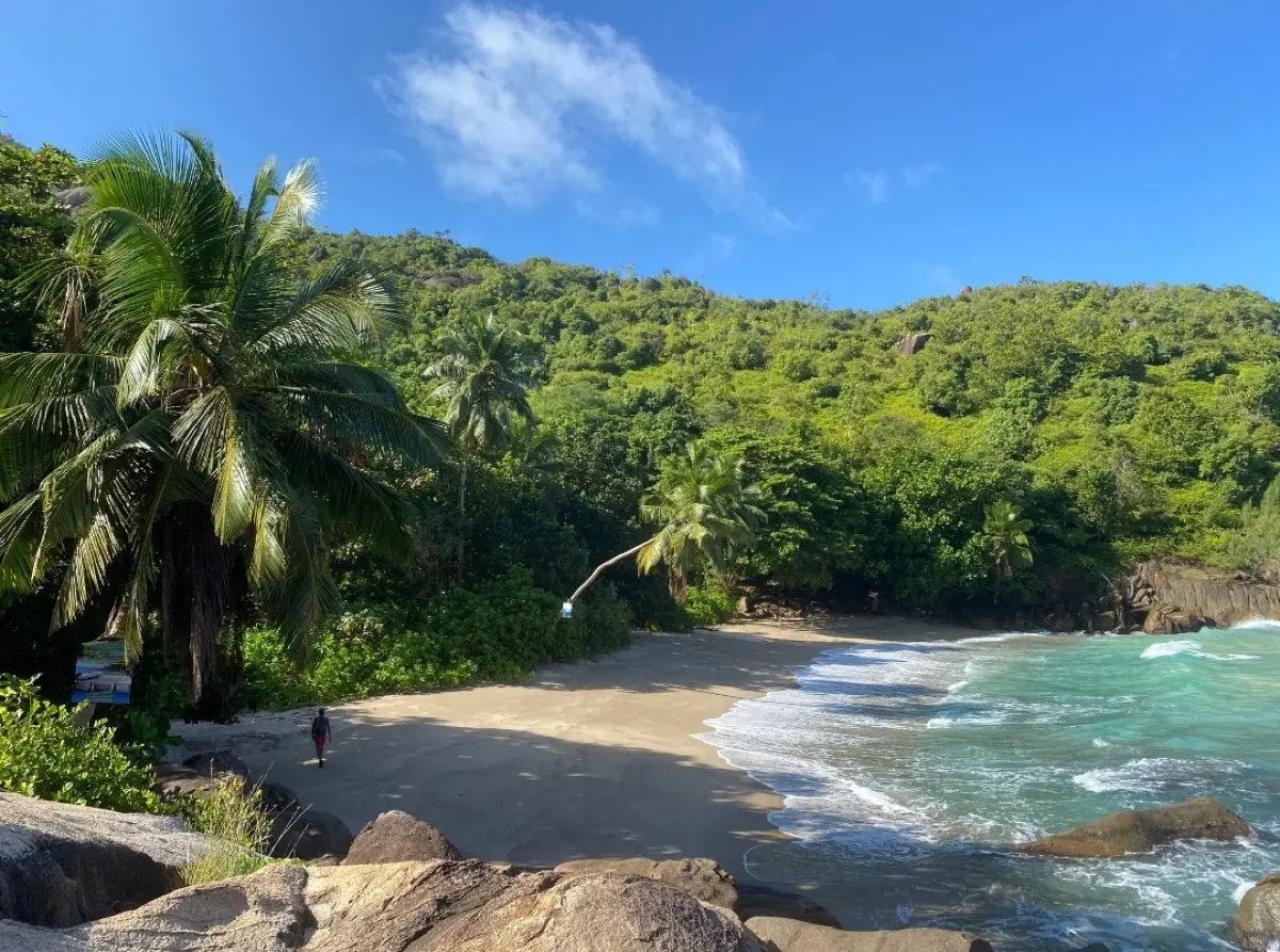 Anse Major (Beach) Nature Trail photo 10