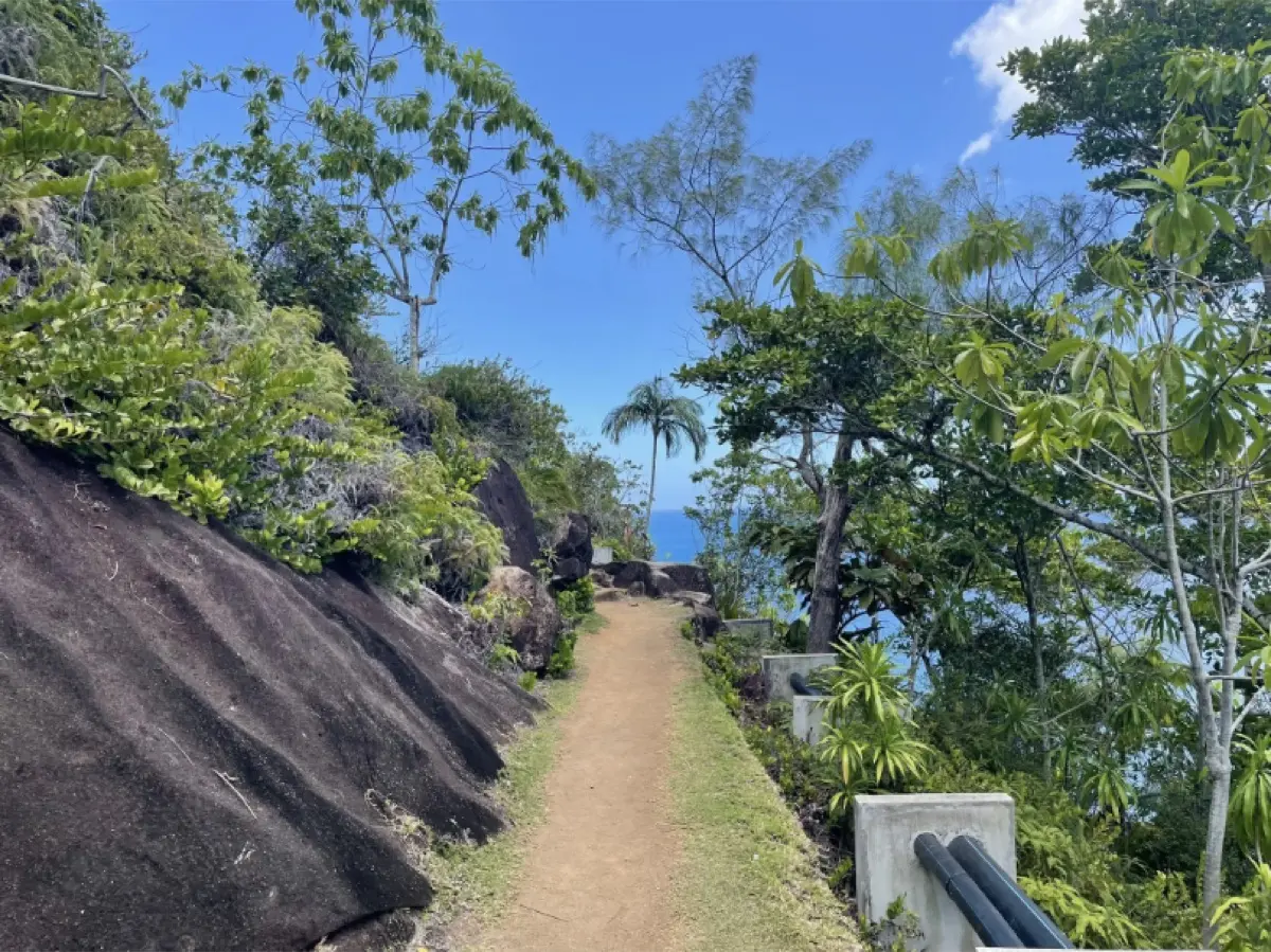 Anse Major (Beach) Nature Trail photo 13