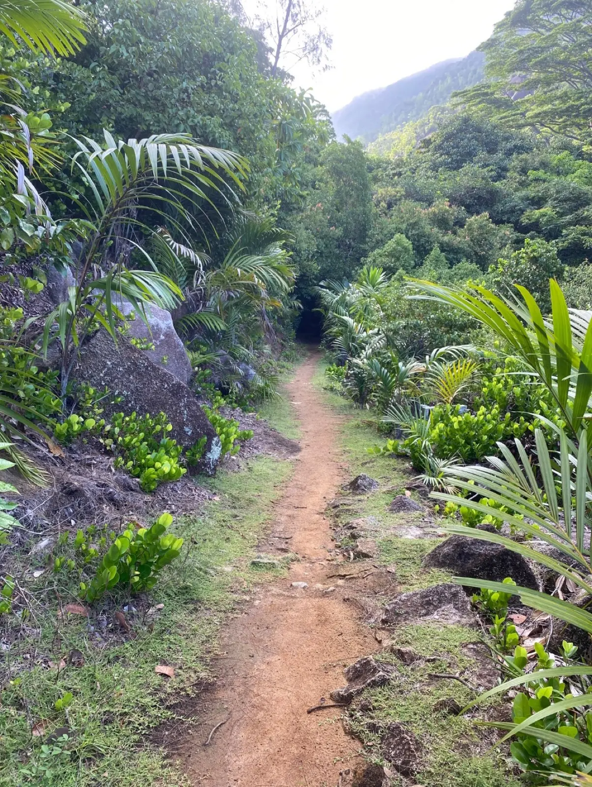 Anse Major (Beach) Nature Trail photo 2