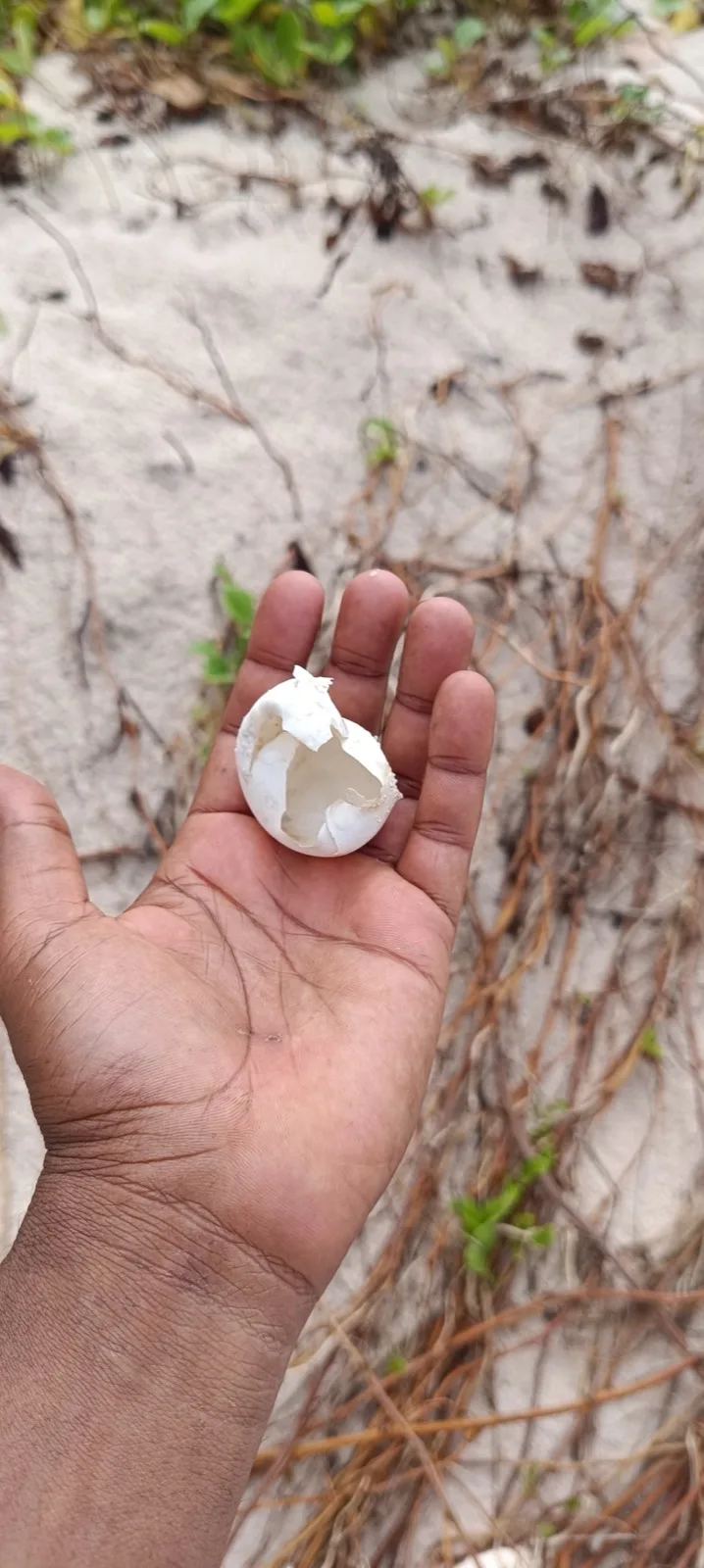 Anse Marie Louise to Police Bay photo 2