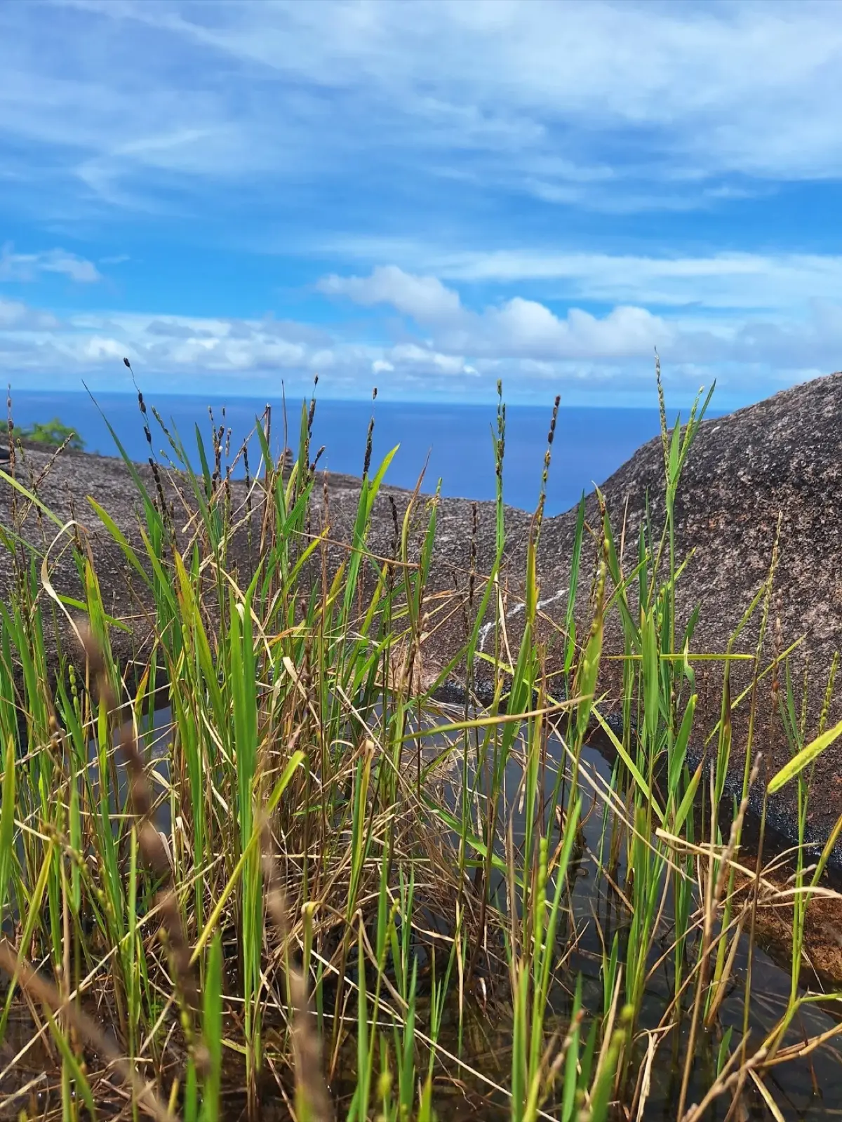 Anse Marie Louise to Police Bay photo 8