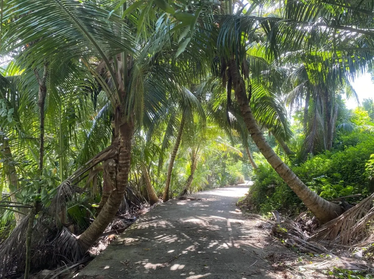 Bel Ombre to Baie Ternay Marine National Park to Port Launay Beach photo 13