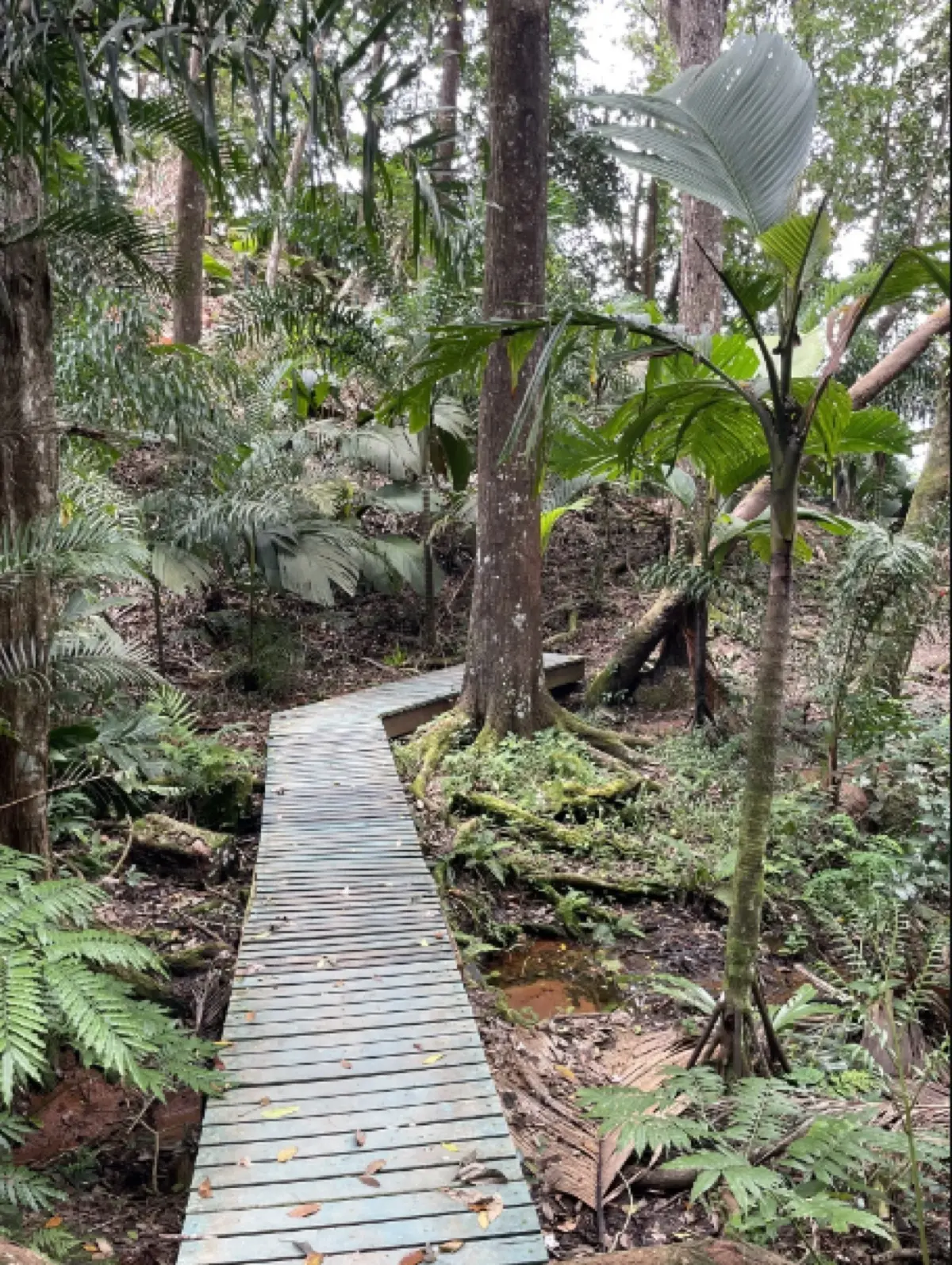 Copolia Nature Trail photo 20