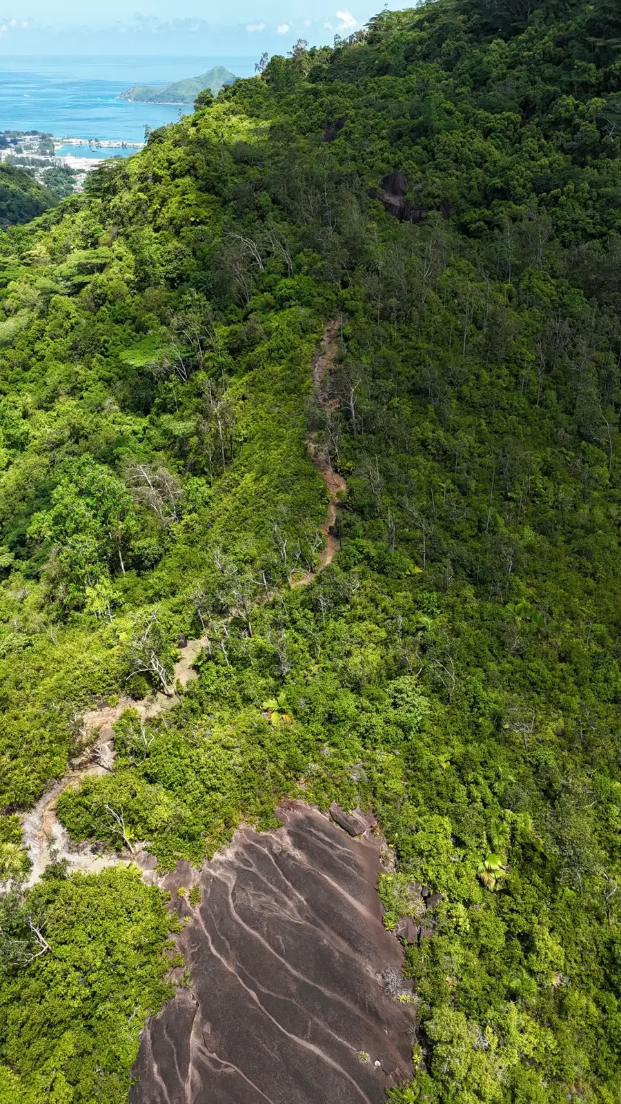 Dans Gallas Nature Trail photo 2