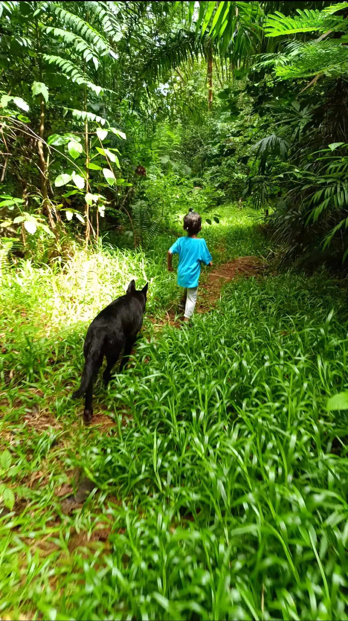 Dans Gallas Nature Trail photo 8