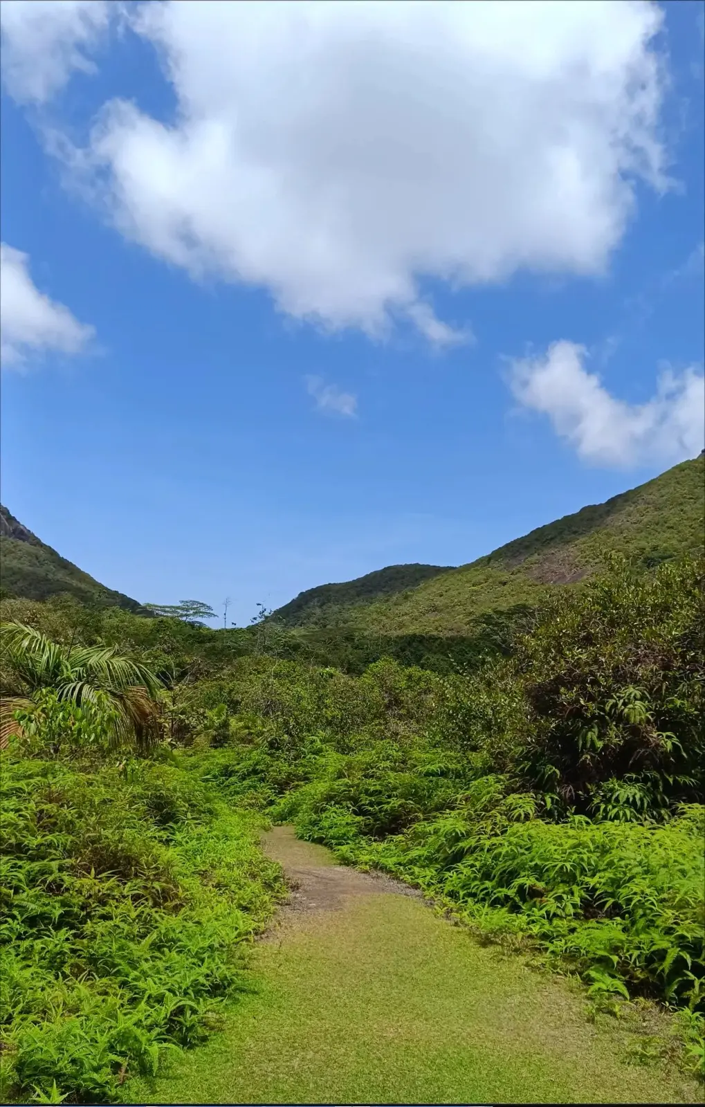 Mare Aux Cochons Trail to Port Glaud (Sauzier Waterfall) photo 3