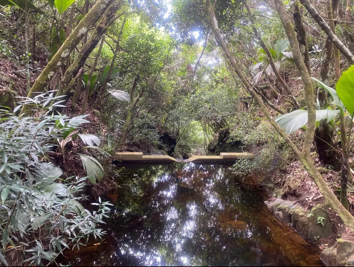 Mare Aux Cochons Trail to Port Glaud (Sauzier Waterfall) photo 7