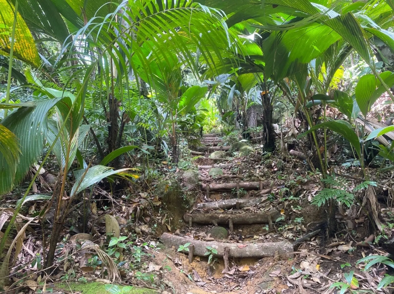 Mare Aux Cochons Trail to Port Glaud (Sauzier Waterfall)