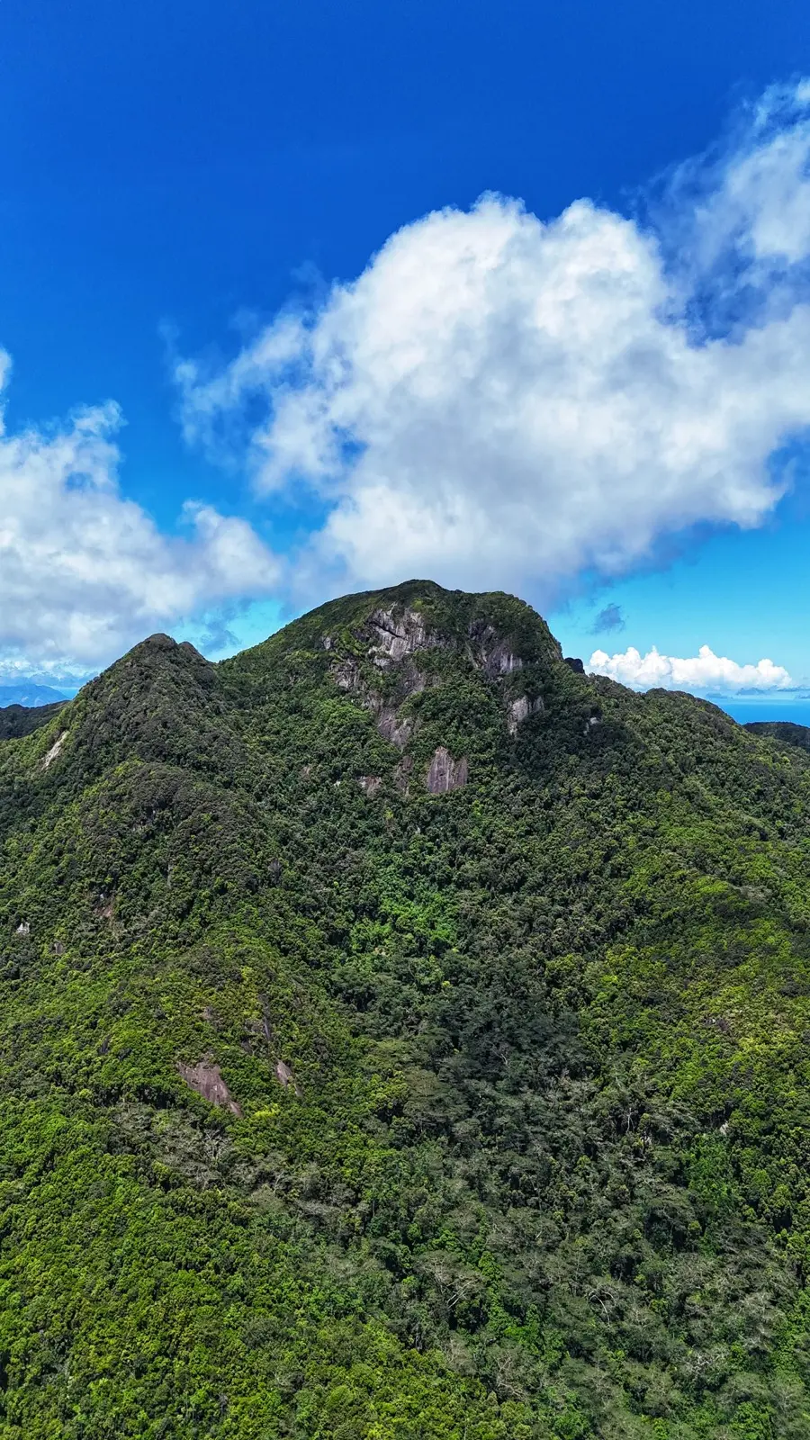 Morne Blanc Nature Trail photo 1