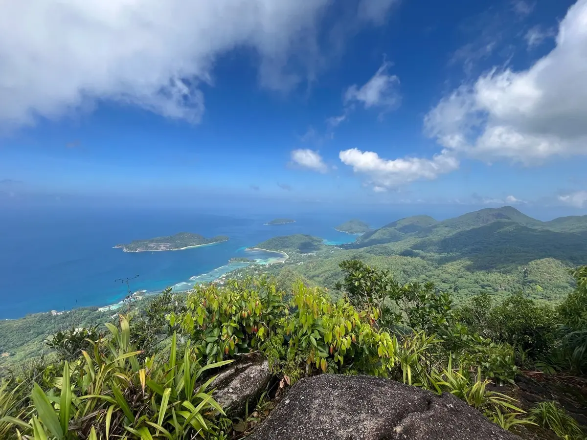 Morne Blanc Nature Trail photo 11
