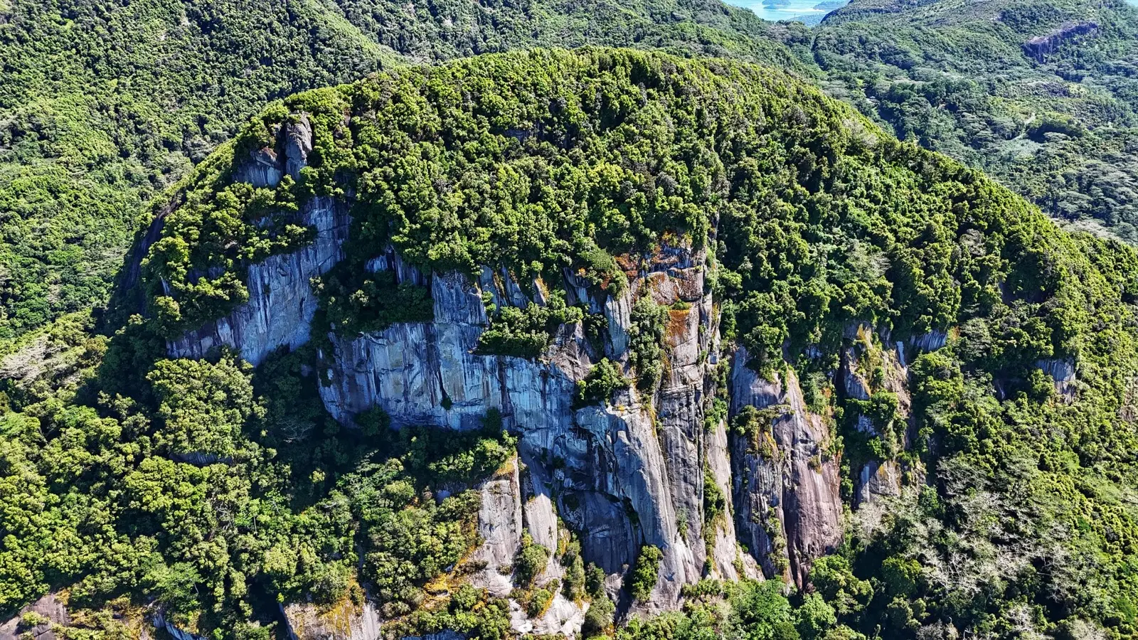 Morne Blanc Nature Trail photo 4