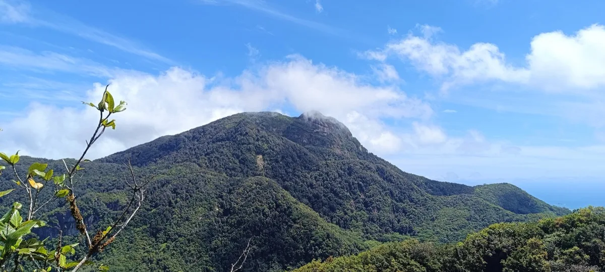 Morne Blanc Nature Trail photo 7