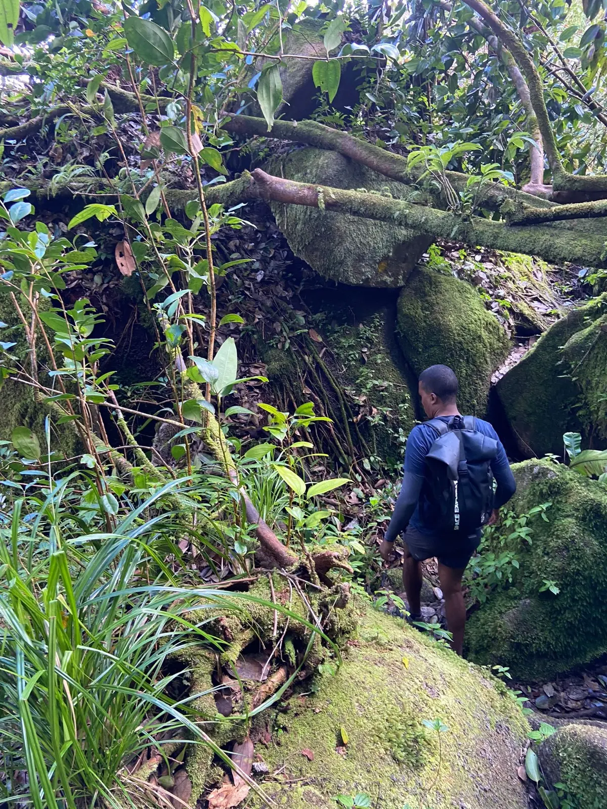 The Morne Seychellois Nature Trail photo 10
