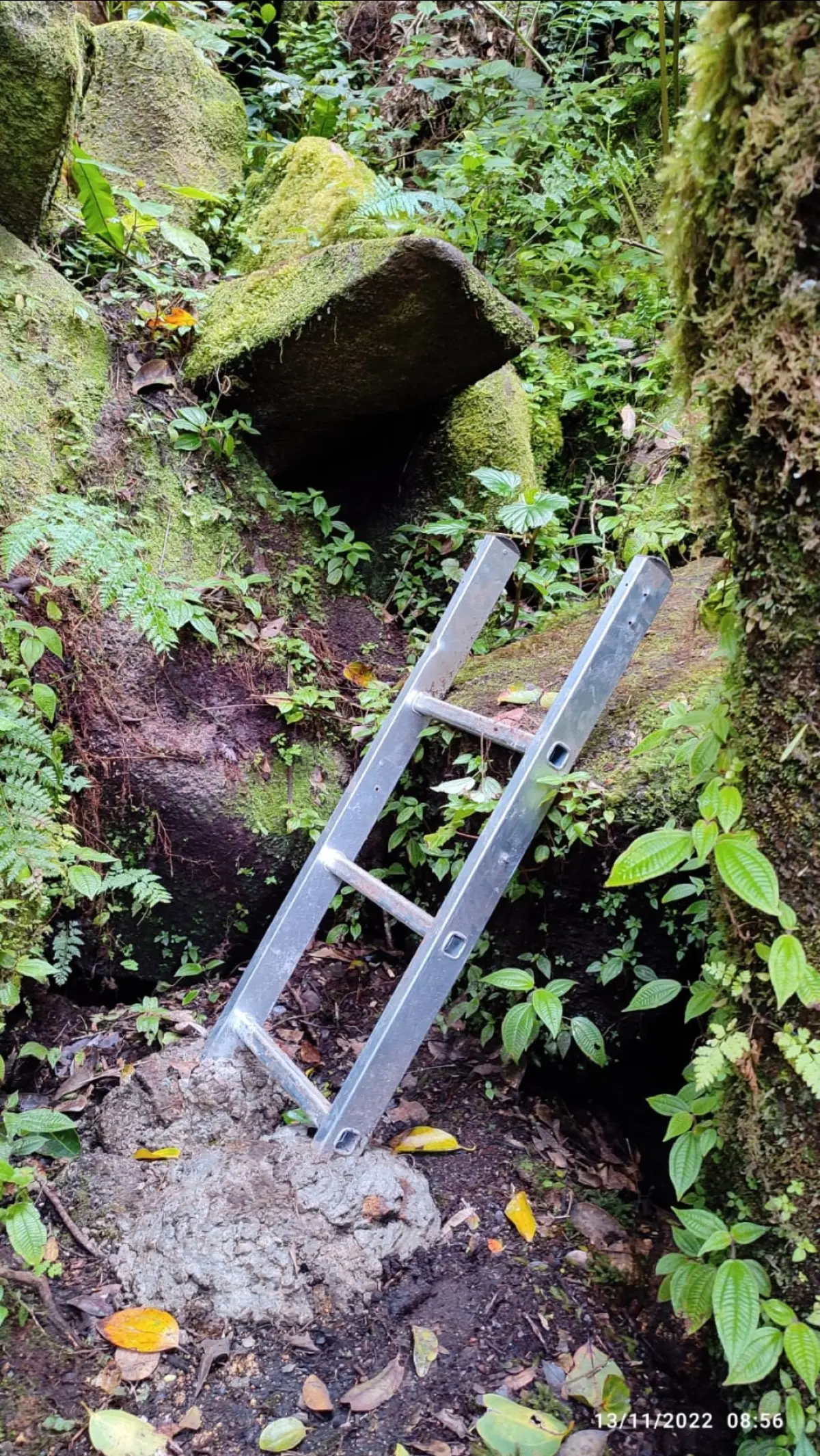 The Morne Seychellois Nature Trail photo 23