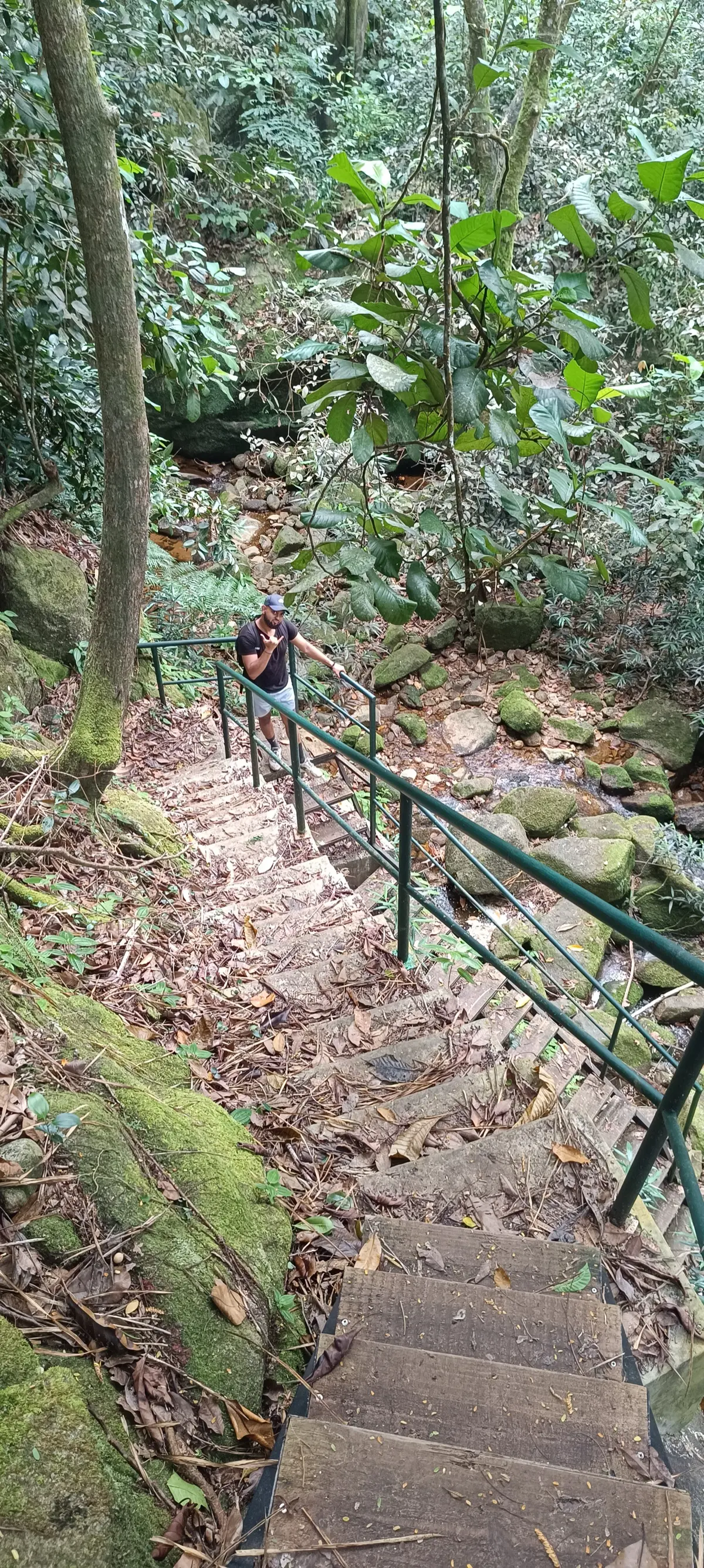 The Morne Seychellois Nature Trail photo 27