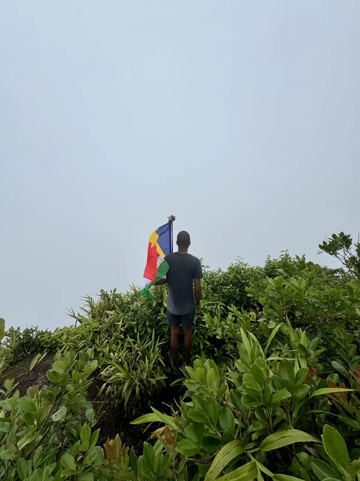 The Morne Seychellois Nature Trail photo 28