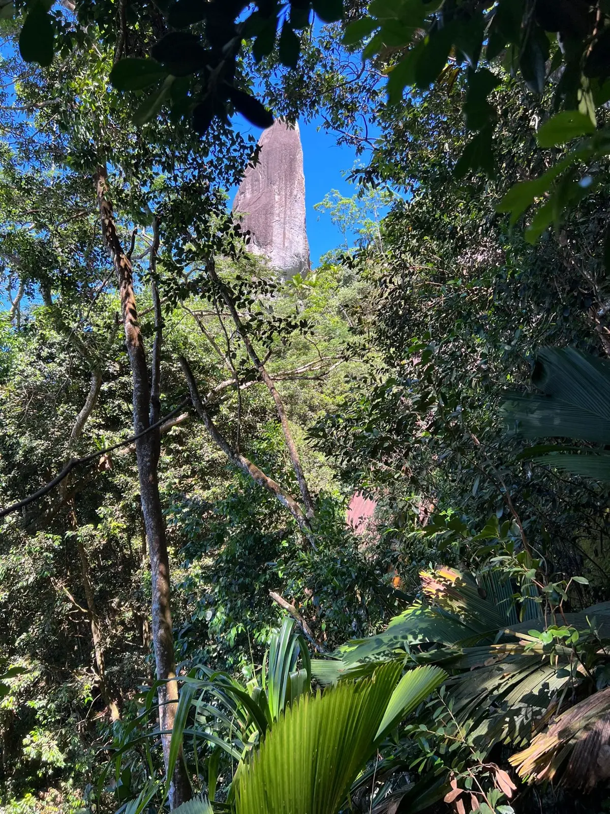 The Morne Seychellois Nature Trail photo 8