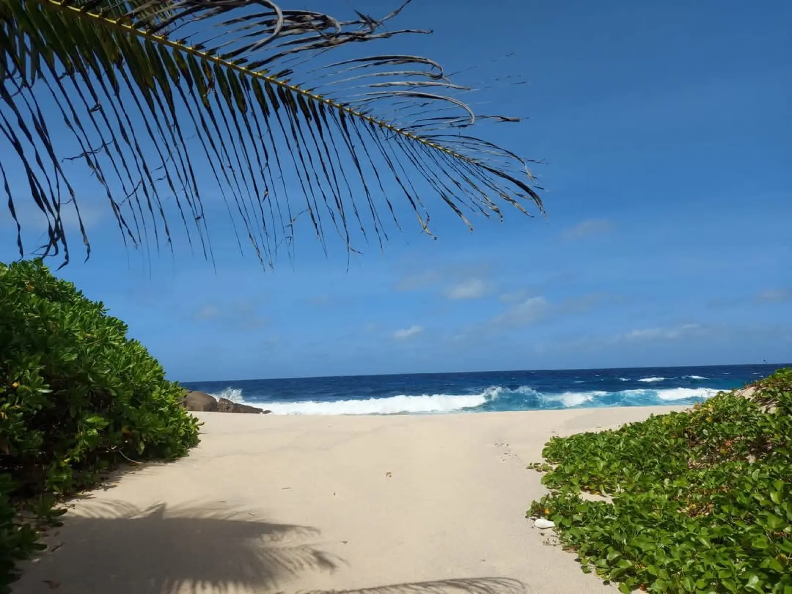 Anse Petite Boileau Trail photo 3
