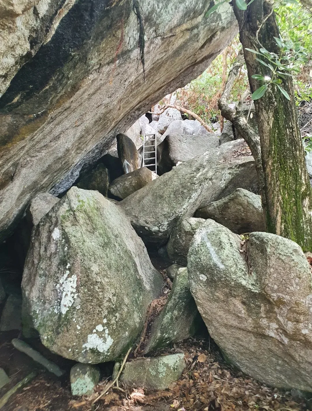 Ros Sodyer (Rock Pool) Nature Trail photo 3