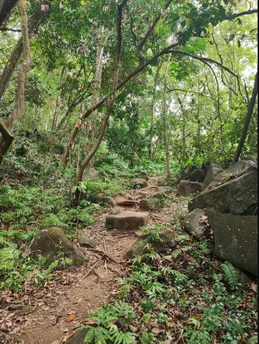 Ros Sodyer (Rock Pool) Nature Trail photo 8