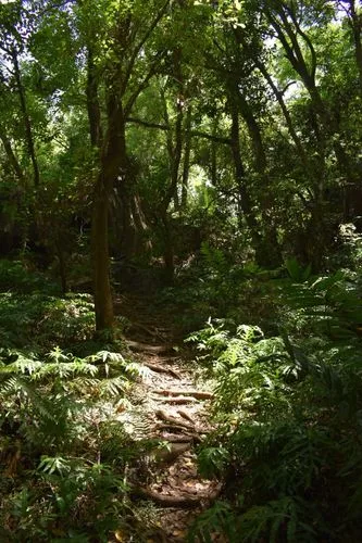Ros Sodyer (Rock Pool) Nature Trail photo 9