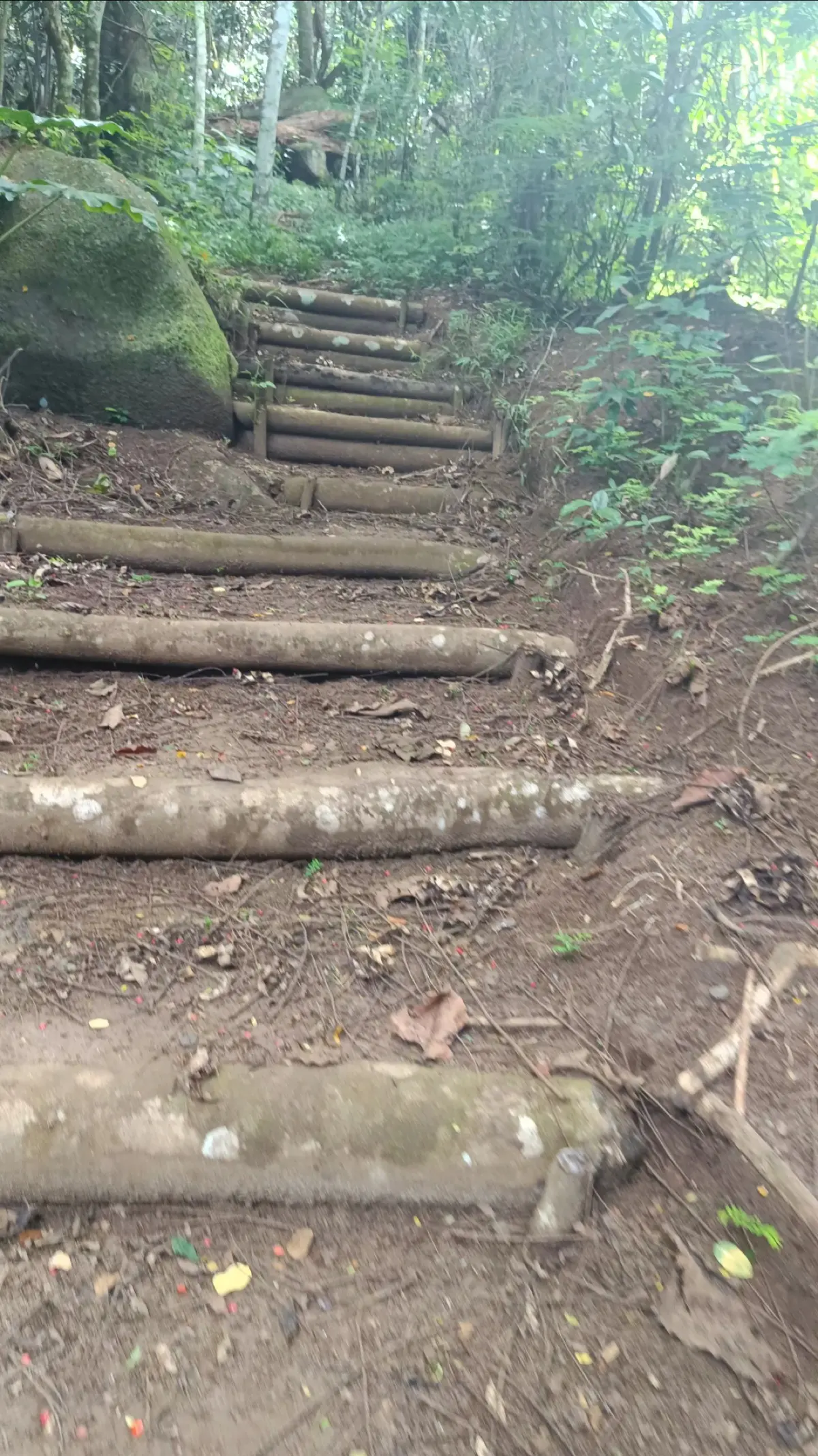When She Comes Trail photo 7